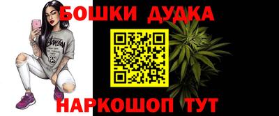 шишки Апшеронск