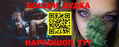 шишки Апшеронск