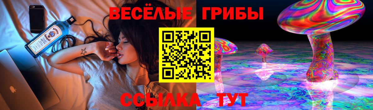 Псилоцибиновые грибы ЛСД  Вход с VPN  Ахтубинск 