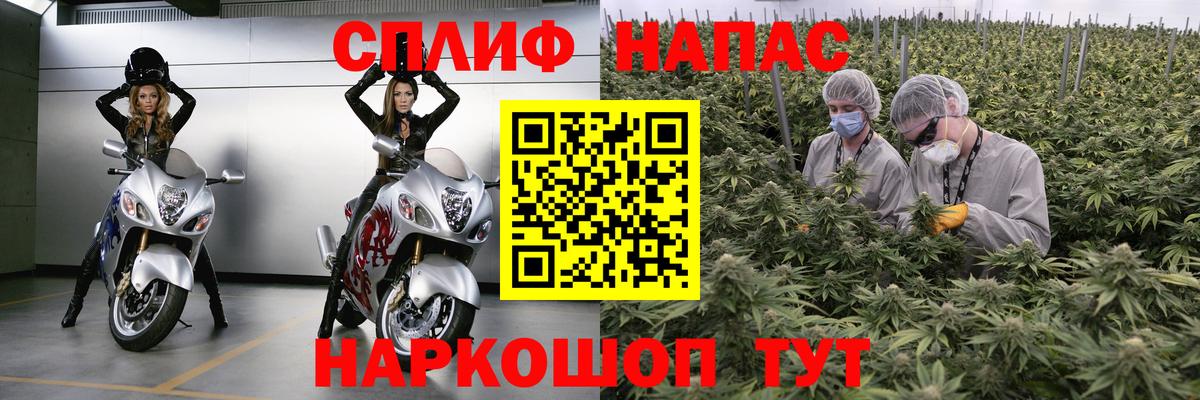Конопля планчик  Канабис LSD WEED  Вход с VPN  Бошки марихуана THC 21%  Ахтубинск  Конопля семена 